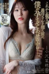 DLDSS-495